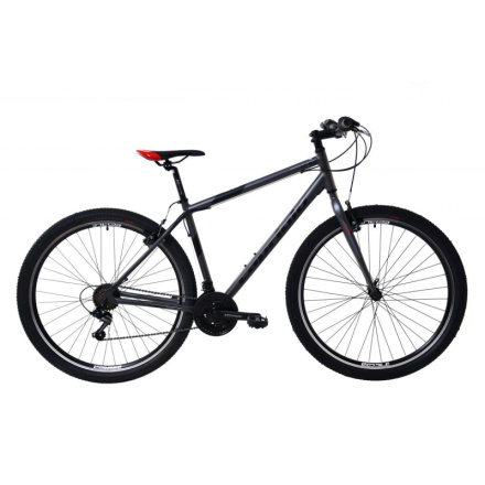 Horské jízdní kolo Capriolo LC 9.0 MTB 29"/21" šedo-černé 2024, 924540-21