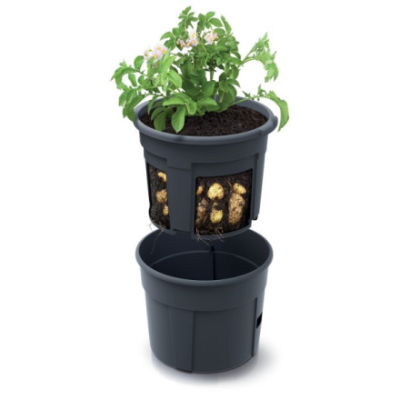 Květináč Prosperplast POTATO GROWER na pěstování brambor 39,2 cm antracit, IZIE400-S433