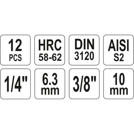 Bity Torx sada 12 ks (CrV 6150), YT-04332