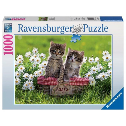 RAVENSBURGER Puzzle Piknik na louce 1000 dílků 110096