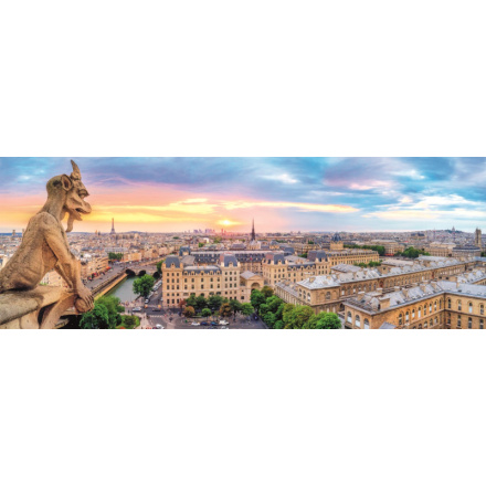 TREFL Panoramatické puzzle Výhled z katedrály Notre-Dame 1000 dílků 116436