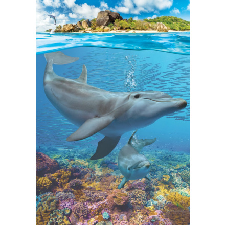 EUROGRAPHICS Puzzle Save Our Planet: Delfíni XL 250 dílků 138472
