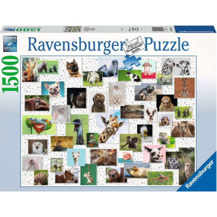 RAVENSBURGER Puzzle Koláž se zvířecími ksichtíky 1500 dílků 138767