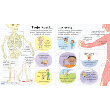 Svojtka & Co. Podívej se do svého těla 140044