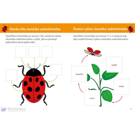 Svojtka & Co. Můj velký sešit Montessori: Objevuj svět 140371