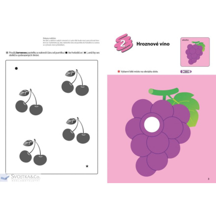 Svojtka & Co. Můj pracovní sešit Vybarvování 140851