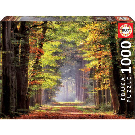 EDUCA Puzzle Podzimní procházka 1000 dílků 141790