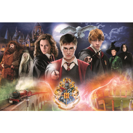 TREFL Puzzle Tajemný Harry Potter 300 dílků 143112