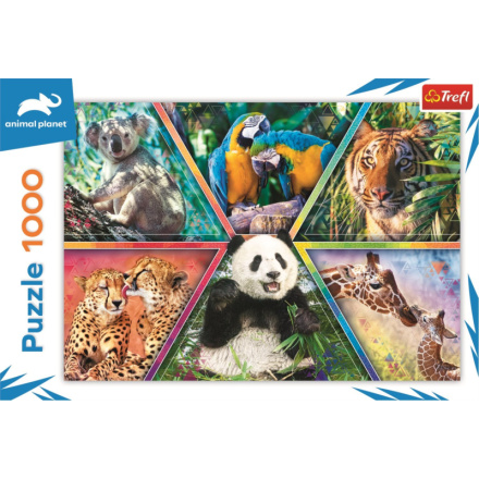 TREFL Puzzle Animal Planet: Království zvířat 1000 dílků 143626