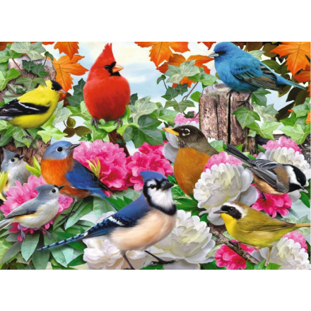 RAVENSBURGER Puzzle Zahradní ptáci 500 dílků 145809
