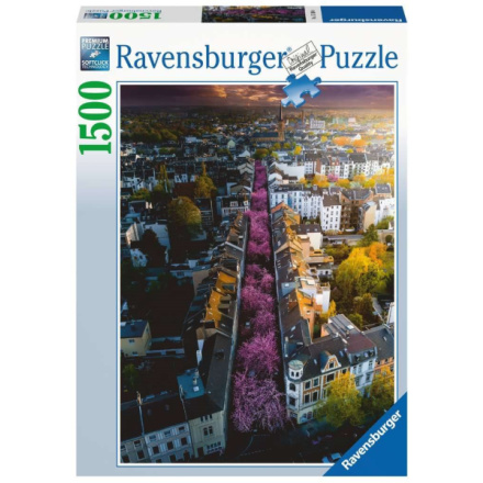 RAVENSBURGER Puzzle Rozkvetlý Bonn 1500 dílků 146015