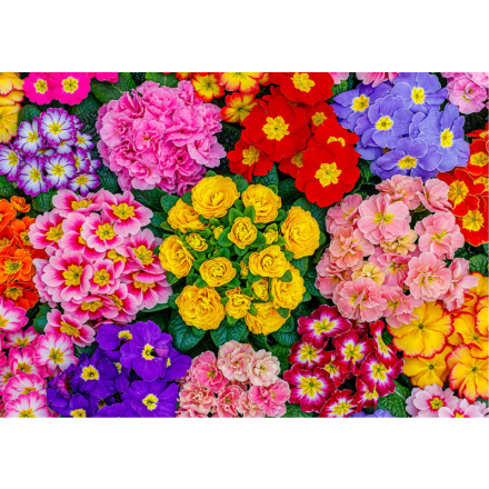 WOODEN CITY Dřevěné puzzle Rozkvetlé květiny 2v1, 505 dílků EKO 147688