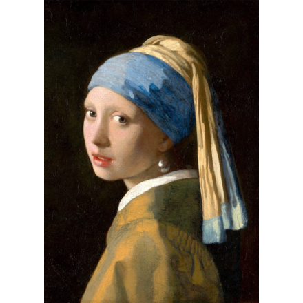 ENJOY Puzzle Johannes Vermeer: Dívka s perlou 1000 dílků 148671