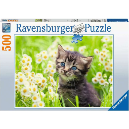 RAVENSBURGER Puzzle Koťátko na louce 500 dílků 151643