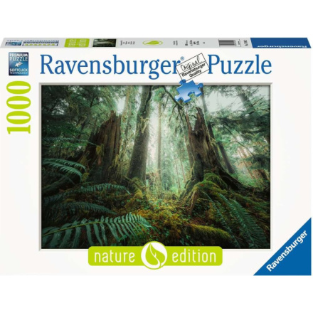 RAVENSBURGER Puzzle V lese 1000 dílků 151664