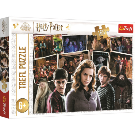 TREFL Puzzle Harry Potter s přáteli 160 dílků 152913