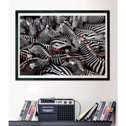 CLEMENTONI Puzzle National Geographic: Zebry v ohradě 1000 dílků 155590