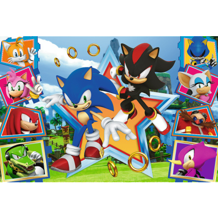 TREFL Puzzle Sonic: Seznamte se s ježkem 100 dílků 156034