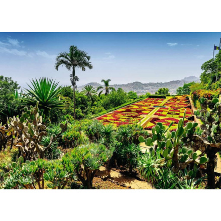 RAVENSBURGER Puzzle Kouzelné zahrady: Botanická zahrada, Madeira 1000 dílků 161122