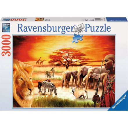 RAVENSBURGER Puzzle Savana - hrdí Masajové 3000 dílků 4340