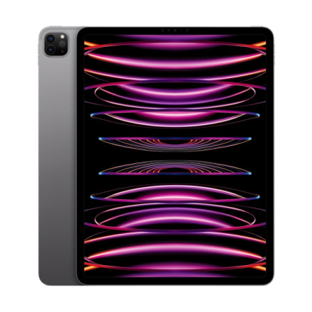 Apple iPad Pro 12.9"/WiFi/12,9"/2732x2048/16GB/1TB/iPadOS16/Space Gray, MNXW3FD/A