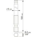 Sada bitů 1/4" 2 ks TORX L=100 mm T10, T25, YT-0490