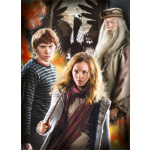 CLEMENTONI Puzzle Harry Potter 3x1000 dílků 140559