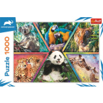 TREFL Puzzle Animal Planet: Království zvířat 1000 dílků 143626