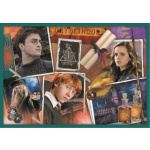 TREFL Puzzle Harry Potter MEGA PACK 10v1 147800