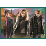 TREFL Puzzle Harry Potter MEGA PACK 10v1 147800