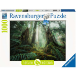 RAVENSBURGER Puzzle V lese 1000 dílků 151664