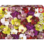 EDUCA Puzzle Koláž z orchidejí 1000 dílků 152215