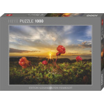 HEYE Puzzle Ostružiny moruška 1000 dílků 155661