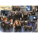 TREFL Puzzle Harry Potter: Brumbálova armáda 934 dílků 158465