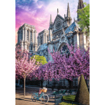 TREFL Puzzle Premium Plus Photo Odyssey: Katedrála Notre-Dame v Paříži 1000 dílků 161446