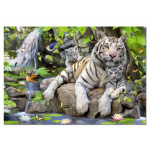 EDUCA Puzzle Bílí bengálští tygři 1000 dílků 332