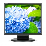 SHARP/NEC 17" LED NEC E172M,1280x1024,TN,250cd,50mm,BK, 60005020